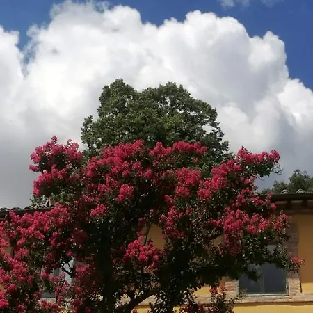 San Martinello